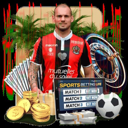 凯发体育登录官网入口解析